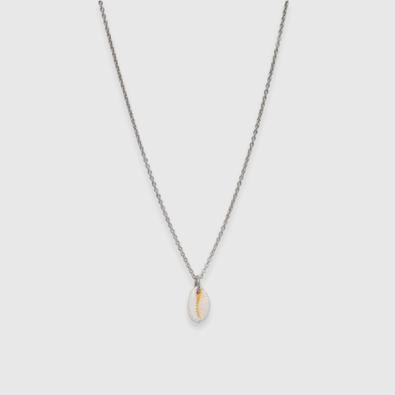 Kauri-snäcka (silver)