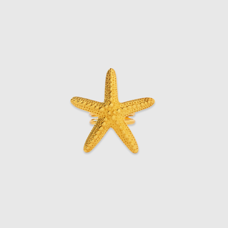 Star of the Show