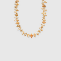 Shell Party