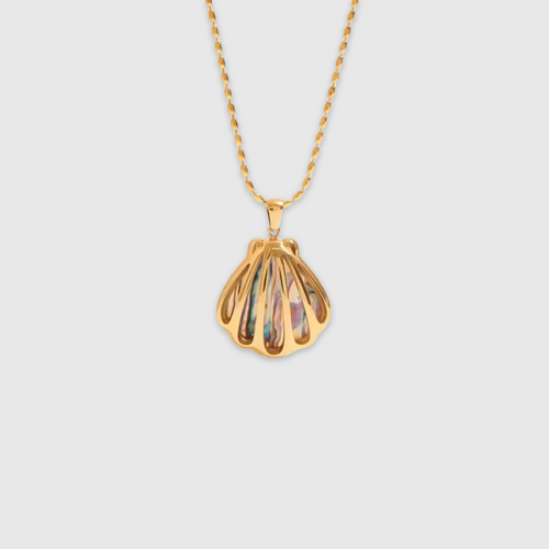 Shell Me More