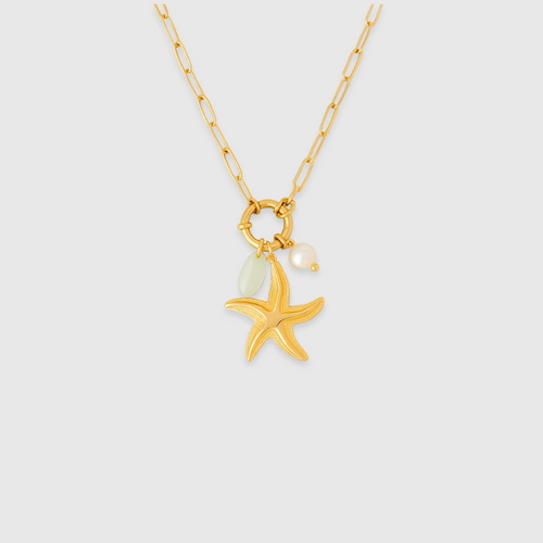 Star of the Show